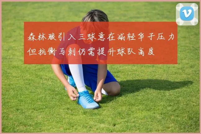 森林狼引入三球意在减轻华子压力但抗衡马刺仍需提升球队高度