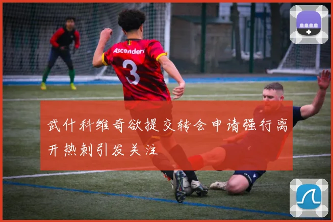 武什科维奇欲提交转会申请强行离开热刺引发关注