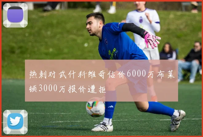 热刺对武什科维奇估价6000万布莱顿3000万报价遭拒