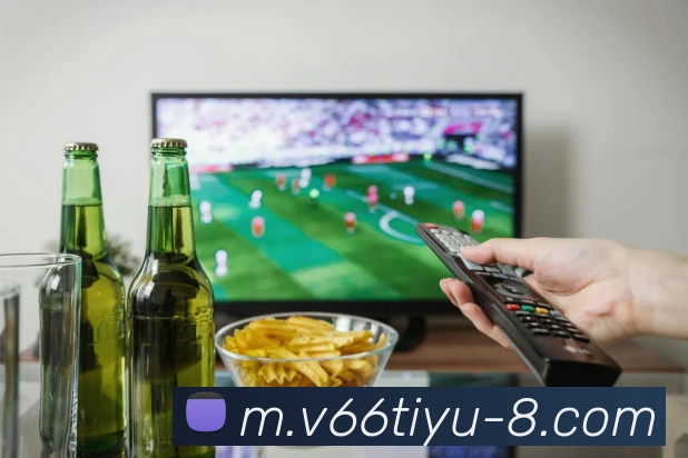 V66体育APP 封面图