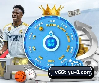 V66体育 APP